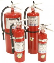Buckeye 10-lb. ABC Fire Extinguisher(USA)